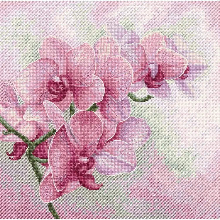 (image for) Graceful Orchids